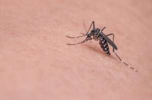 Comment éviter les piqures de moustique