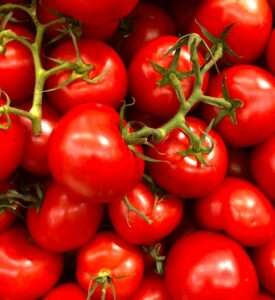 Comment conserver ses tomates plus longtemps