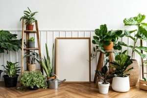 Support pour plantes